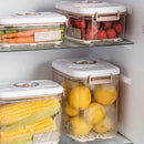 Vacuum Refrigerator Organizer Food Storage Box for Kitchen Refrigerator